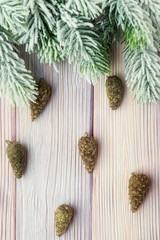 Xmas background with fir tree and cones