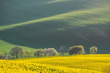 Zelfklevend Fotobehang Landelijk landschap met velden © firewings