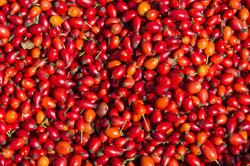 Rose hip berry in market