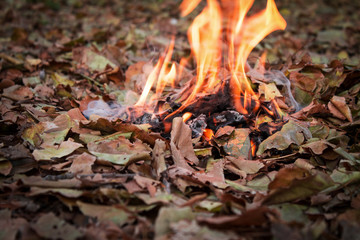 leaves and fire autumn concept