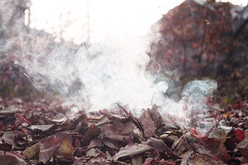 leaves and smoke autumn concept