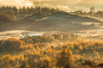 Frosty Autumn landscape on a misty fresh morning in the Lake District.