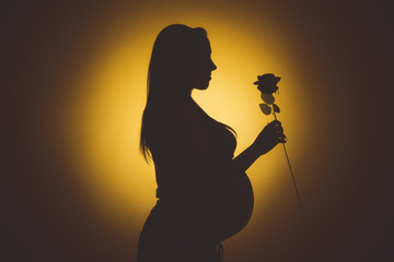 Pregnant woman abstraction