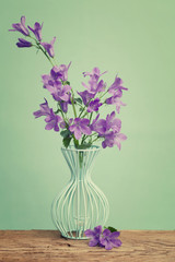 Bell flowers on a blue vase