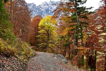 Panoramaweg zur Binsalm in Hinterriss-Eng