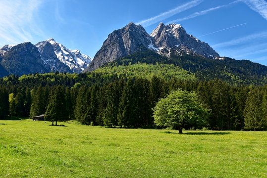 Berg nahe Grainau in Oberbayern