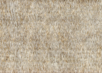 Grey faux fur background texture.Decorative fabric, wallpaper