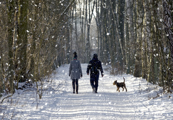 couple in the winter woods on a walk with the dog - 127186302