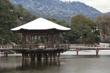 奈良公園の雪景色