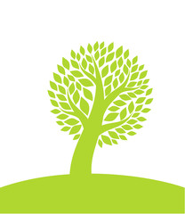 Obraz premium Green tree on hill