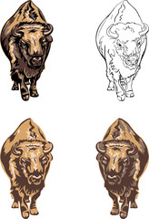 buffalo, color, black, illustration, isolation, figure, silhouette, portrait, various postures of the animal