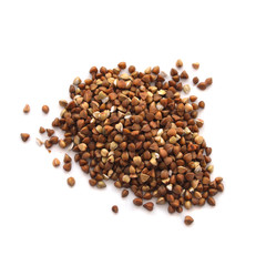 Buckwheat grain isolated on white background