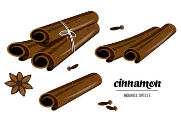 Aromatic condiment: organic cinnamon, star anise, and carnation on isolated  white background. Illustration of winter spices. Single and bunch tied by rope cinnamon stick set.