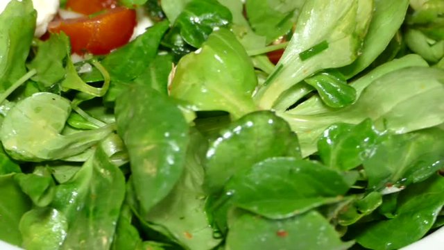 Feldsalat mit Frikadellen