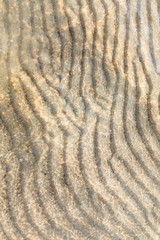 sand on the sea shallow water of Baltic sea