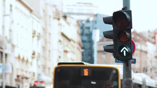 traffic light in the central city