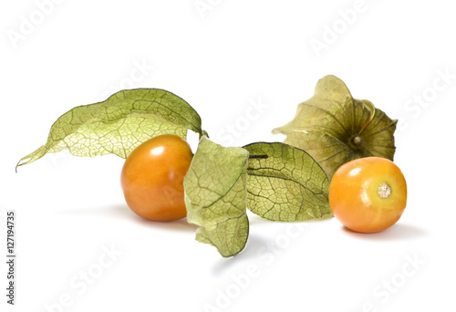Fresh Winter Cherry Or Physalis Fruits Isolated On White Background Wall Mural Eivaisla