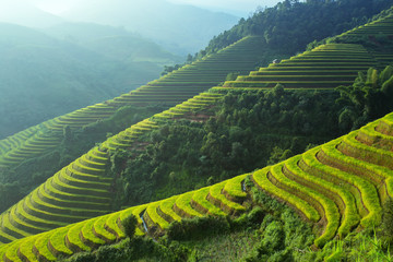 Fototapeta na wymiar Rice fields on terraced of Mu Cang Chai, YenBai, Vietnam.