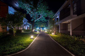 walkway in the night garden