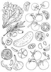 Set of vegetables. Fresh food. Lettuce, tomatoes, cucumber, olives, garlic line drawn on a white background. Vector illustration. Coloring for adults