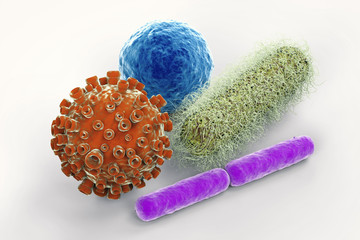 virus and bacteria cells