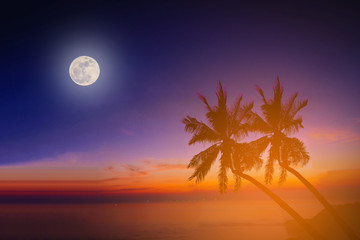 Silhouette coconut palm trees on beach with the moon at twilight time.