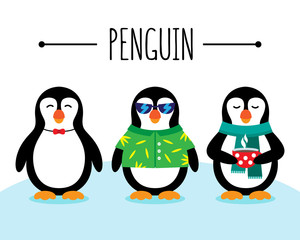 Cute penguins wild life animal illustrations. Funny penguins stand on snow