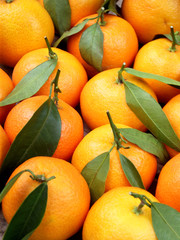 ripe juicy tangerine. background fruit