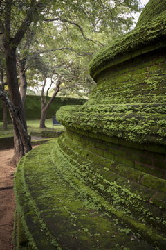Ridges of the dome shaped structure in the Kiri Vihara Buddhist temple ruins, Polonnaruwa, Sri Lanka 