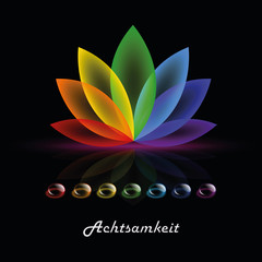 achtsamkeit lilie © krissikunterbunt