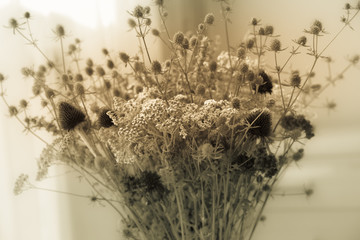 Bouquet of dried wildflowers with filter effect retro vintage style.Soft focus and blurred.