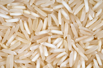 Gros plan sur du riz cru