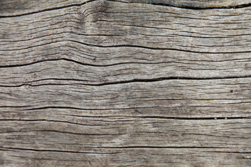 Old wood surface weathering