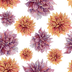 Watercolor seamless pattern with pink and orange dahlias isolated on white. Floral original repeating background.