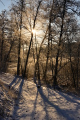 Winter day with sunshine