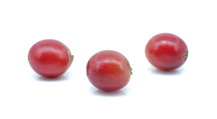 Fresh coffee beans on white background.