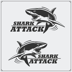 The emblem with shark for a sport team.