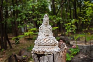 The white Guan Yin statue nature
