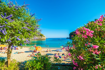 Amazing beach in Paleokastritsa, Corfu island, Greece