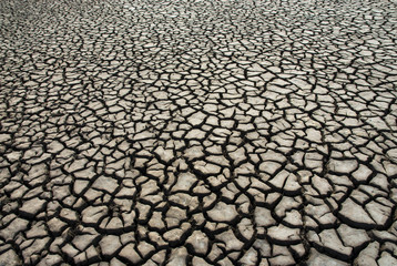 Dry floor, La Pampa, Argentina
