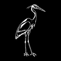 Hand-drawn pencil graphics, heron. Engraving, stencil style.