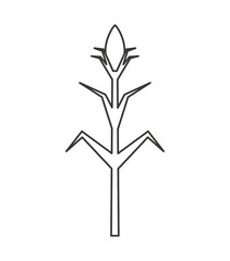 corn plant isolated icon vector illustration design
