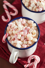 hot chocolate with mini marshmallow candy cane