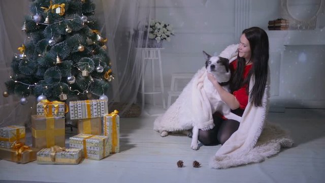 Young woman having fun with her dog at Christmas decorated tree. HD.