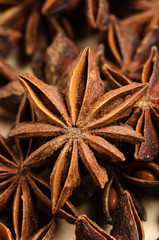 Badian Or Star Anise. Closeup. Macro.