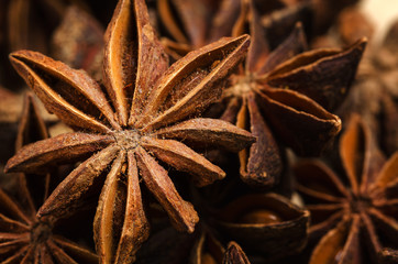 Badian Or Star Anise. Closeup. Macro.