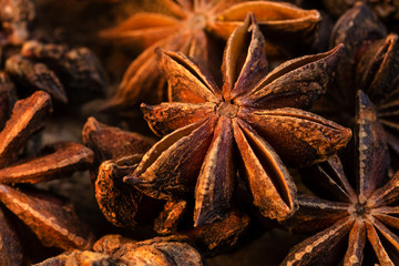 Badian Or Star Anise. Closeup. Macro.