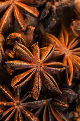 Badian Or Star Anise. Closeup. Macro.