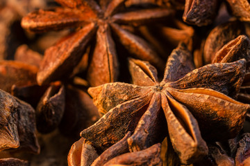 Badian Or Star Anise. Closeup. Macro.