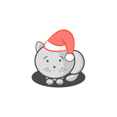 Gray kitten in Santa hat